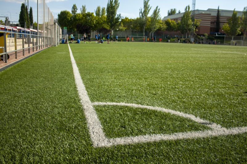 Completed Synthetic Surface